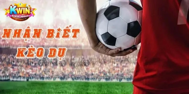 Đặt cược theo phân tích chứ không theo cảm tính