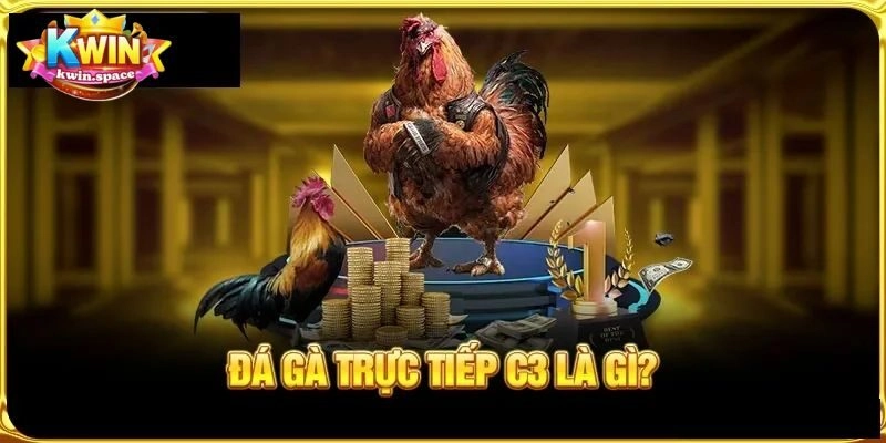 Đá gà C3 là gì?